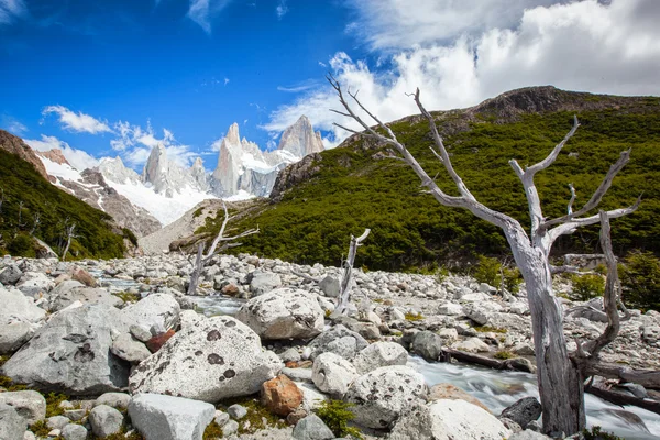 Rivière par les montagnes 2 — Photo