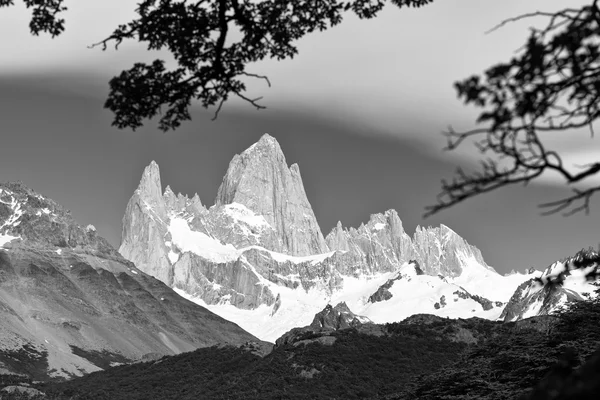 Fitz roy dağ manzarası