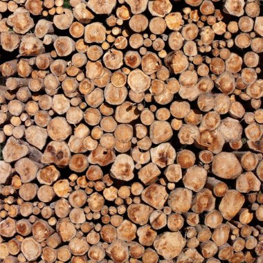 Ladin yığılmış ağaç gövdeleri yapısı