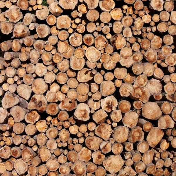 Ladin yığılmış ağaç gövdeleri yapısı