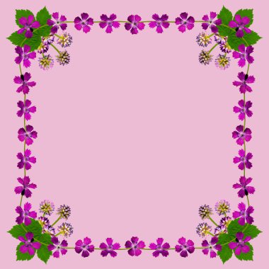 purpleblossomsframesquarepink1
