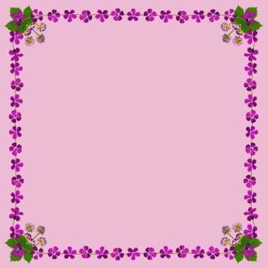 purpleblossomsframesquarepink2