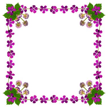purpleblossomsframesquarewhite1
