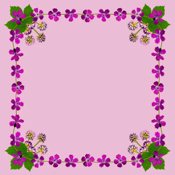 PurpleBlossomsFrameSquarePink1 — Stock Photo, Image