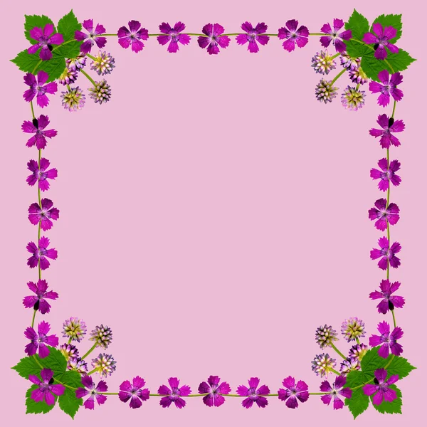 Purpleblossomsframesquarepink1 — стокове фото