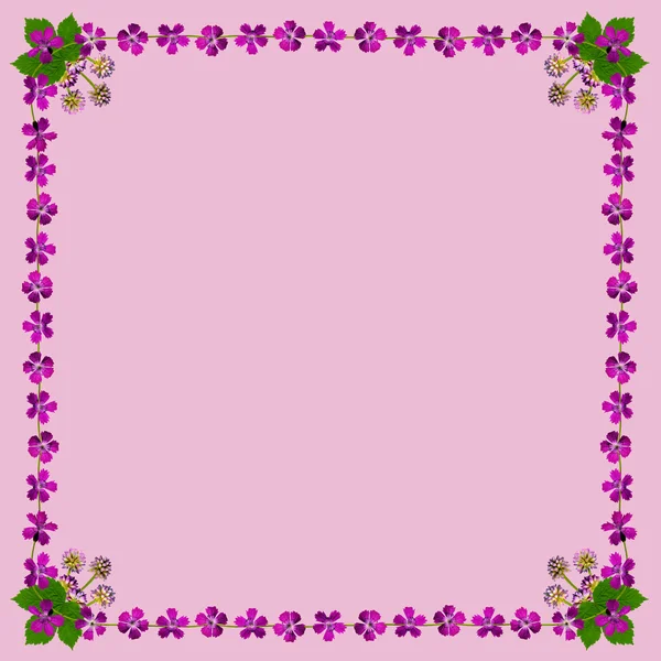 Purpleblossomsframesquarepink2 — Stockfoto