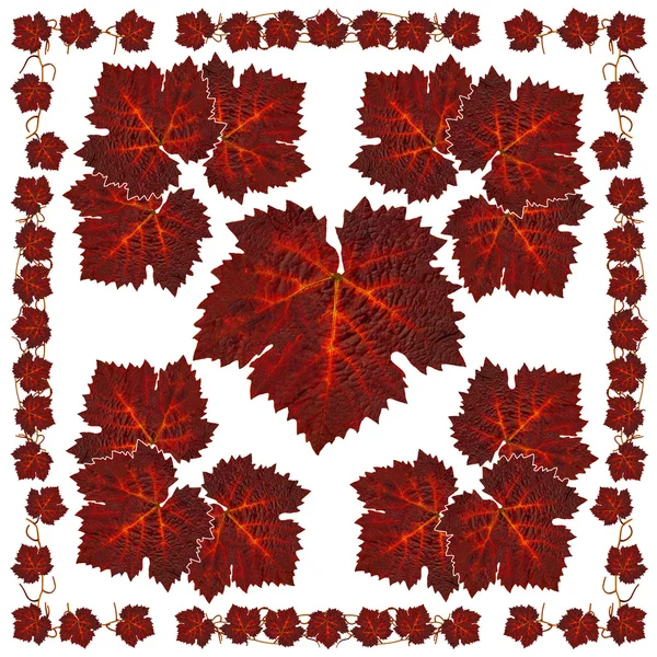 Vineleafnapkin6 — Stockfoto