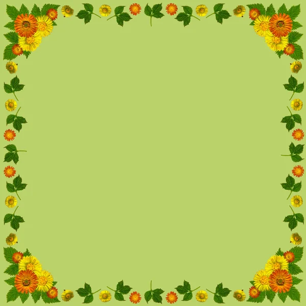 Yellowblossomsframesquaregreen1