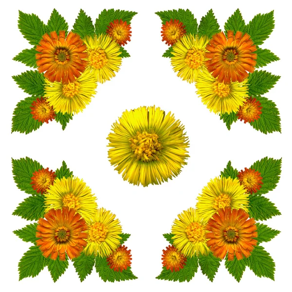 YellowBlossomsNapkinWhite1 — Stock Photo, Image