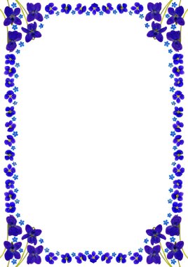 Blueblossomsframedinwhite