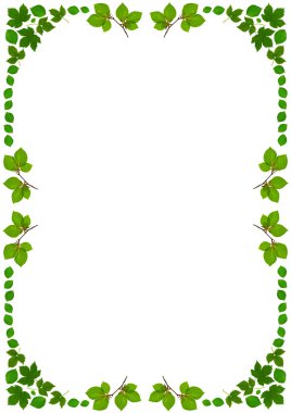 Leafframedinwhite