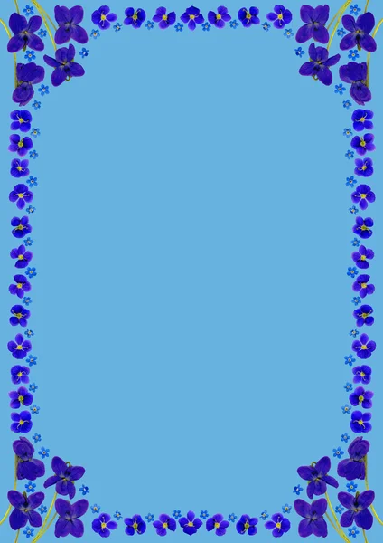 Blueblossomsframedinblue — Zdjęcie stockowe