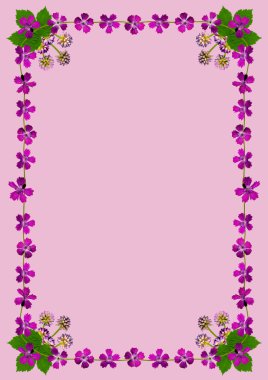 purpleblossomsframedinpink1