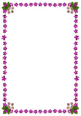 purpleblossomsframedinwhite2