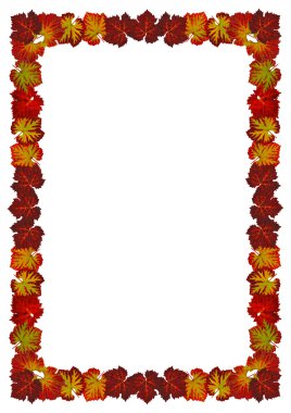 Vineleafframe1din