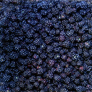 blackberrypattern