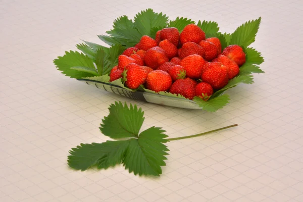 Ciotola di fragola1Foglia — Foto Stock