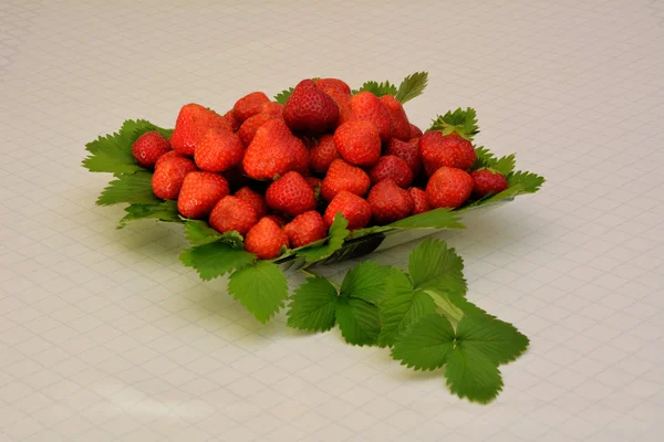 Ciotola di fragola3Foglie — Foto Stock