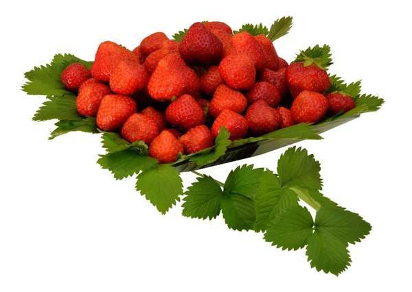 Strawberrybowl3leaves — Stok fotoğraf