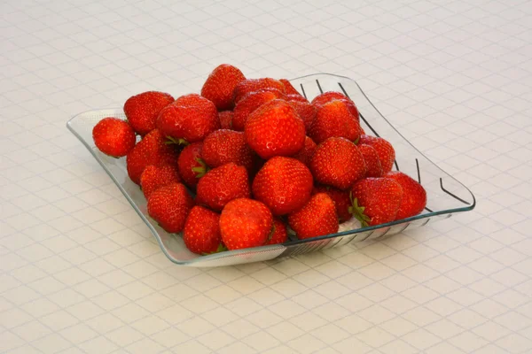 Carré de bol de fraise — Photo