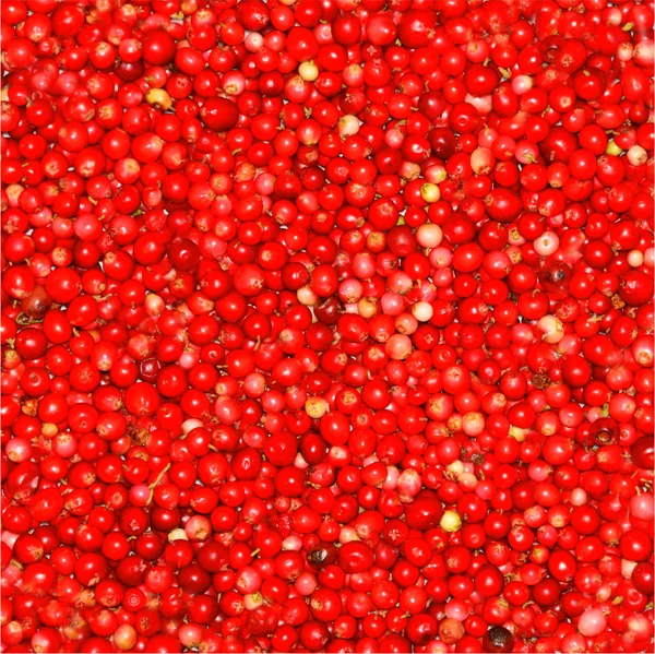 Lingonberrypattern — Foto Stock