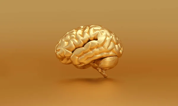 Golden Brain Gold Background Thinking Genius Concept Rendering — Stock Photo, Image