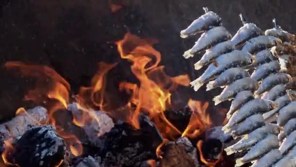 Sardinas Cocinadas Fuego Espeto Málaga Comida Tradicional Para Vacaciones Verano — Vídeo de stock