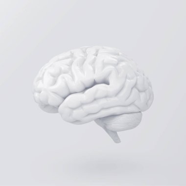 Brain on white background. Ideas and brainstorming concept. 3d rendering.