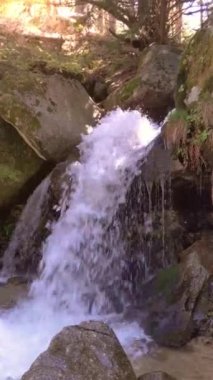 Kayalarda şelale. Orman Güzel Doğa manzarası. Video.