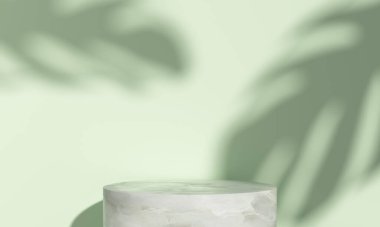 Bitkilerin gölgesi, podyum görüntüsü, ekoloji konsepti ile ekolojik ürün sunumu için soyut arkaplan. 3d oluşturma.