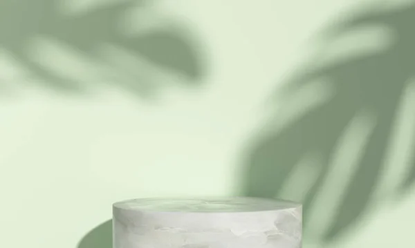 Bitkilerin gölgesi, podyum görüntüsü, ekoloji konsepti ile ekolojik ürün sunumu için soyut arkaplan. 3d oluşturma.