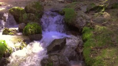 Yeşil Orman 'daki kayaların üzerinden şelale ve akarsu. Orman Güzel Doğa manzarası. 4K video.