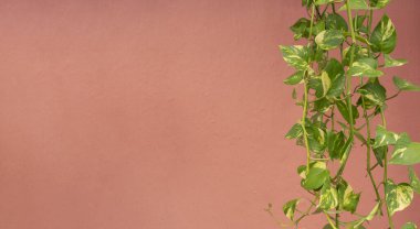 Sıkışmış duvar arkaplanındaki metin için ekin çerçevesi ve boşluk. Doğallık kavramı.