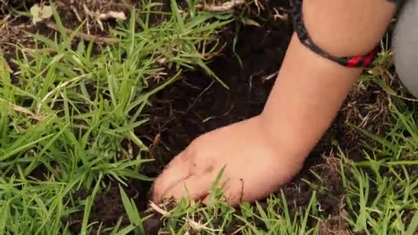 Las Manos Del Niño Cavando Agujero Suelo Plantación Niños Trabajo — Vídeos de Stock