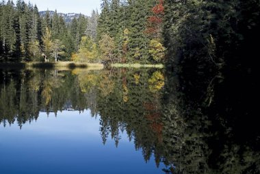 Slovakya Demanovska Vadisi'nde Vrbicke tarn su düzeyinde yansıtma.