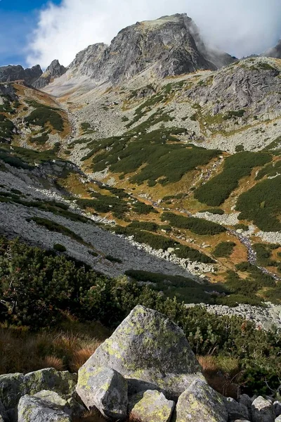 High Tatras, Velka Studena Valley, Eslováquia: vista do pico de Javorovy no nevoeiro. — Fotografia de Stock