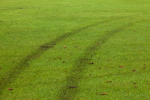 Auto-Spur auf Rasenfläche — Stockfoto