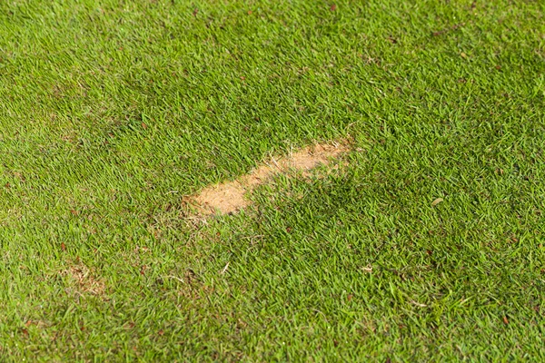 Fijo divot en golf fairway — Foto de Stock