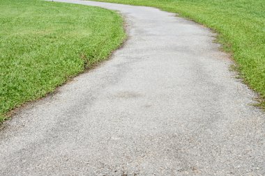 bir parkta eğri yürüme yolu