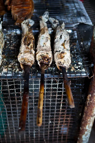Ψάρια του γλυκού νερού, σχάρα, ριγέ ιχθύων snakehead — Φωτογραφία Αρχείου