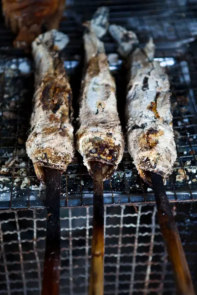 Ψάρια του γλυκού νερού, σχάρα, ριγέ ιχθύων snakehead — Φωτογραφία Αρχείου