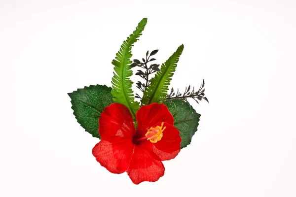 Hibiscus artificiel, rose chinoise sur fond blanc — Photo