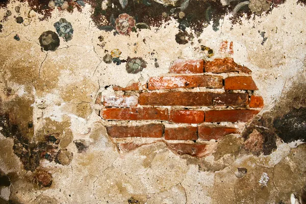 Old wall — Stock Photo, Image