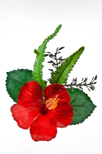 Konstgjorda hibiscus, kinesiska steg på vit bakgrund — Stockfoto