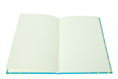 boş dizüstü bilgisayar beyaz arkaplanda izole edildi