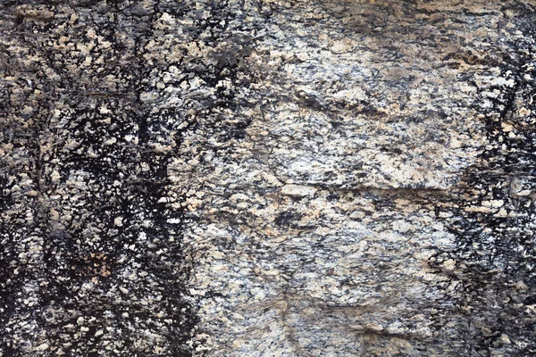 Stone Texture — Stock Photo, Image