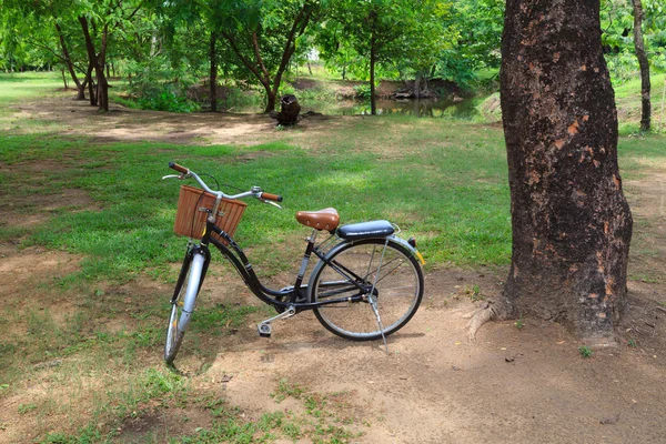 Bicycle in a park — Stock Photo, Image