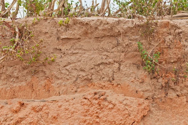 Soil structure and grass — Stock Photo, Image