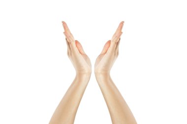 Beyaz arkaplanda el izole