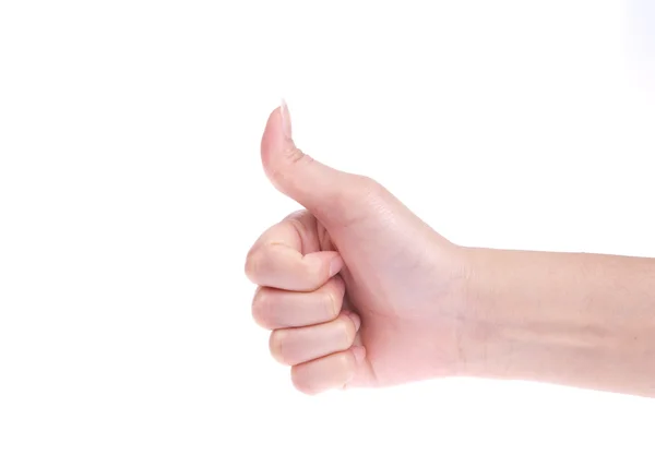 Hand isolated on white background Stock Image